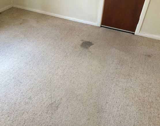 Carpet Stain Removal Services in Kwinana